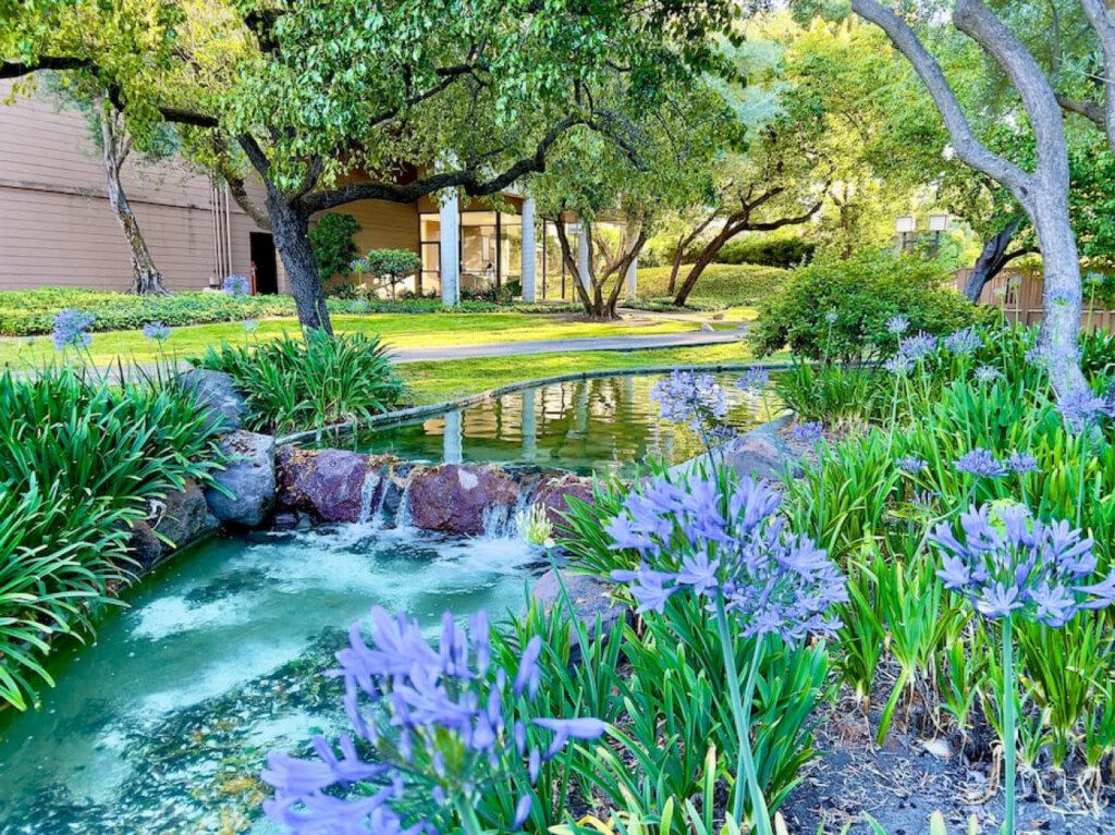 64284 192610 8KWcc8UtR4UGlcS0Bj2gV0rJVWb5PVCbudwcT m8JTo 64f18d114fabd.jpg