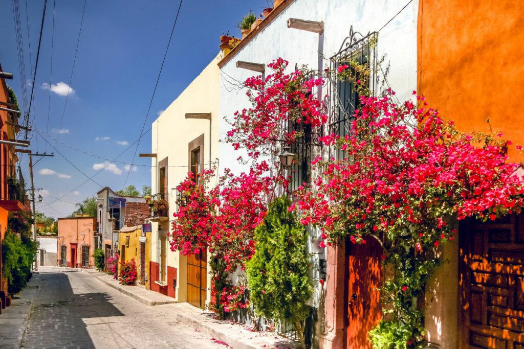 San Miguel de Allende 7
