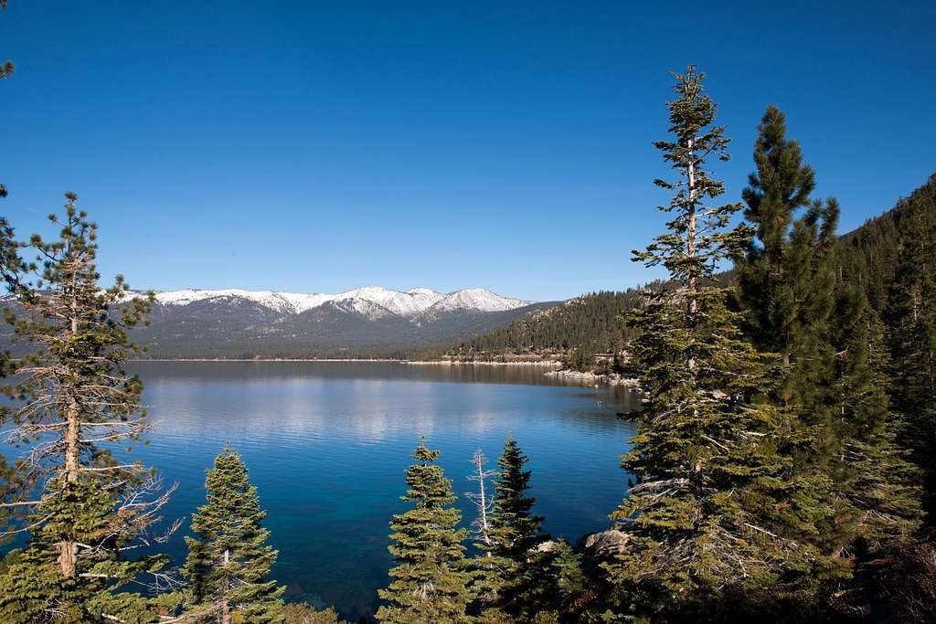 Blue Lake Tahoe water framed by pines and Sierra peaks in summer