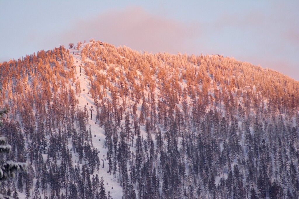 Pink alpenglow on a snow-covered, forested ridge at Heavenly Mountain Resort
