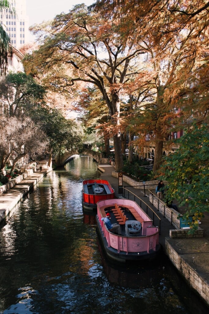 Tour boats under autumn cypress trees on the San Antonio River Walk